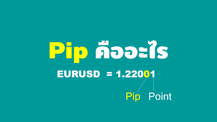 Pip คืออะไร? เข้าใจง่ายๆ ฉบับมือใหม่